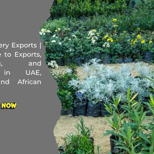 Rajasri Nursery Exports