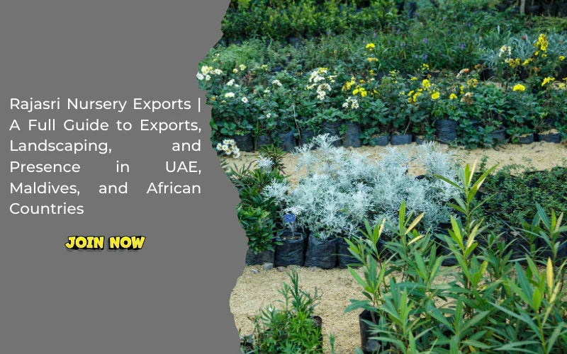 Rajasri Nursery Exports