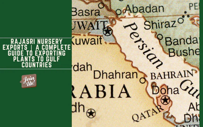 Best Plants And Trees In Kadiyam