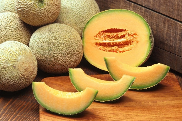 Musk Melon Fruit Plants