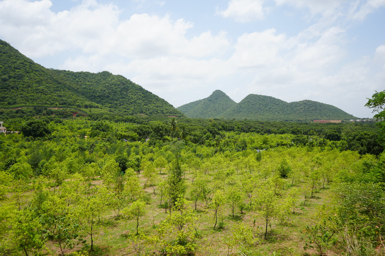 𝑭𝒂𝒓𝒎𝑳𝒂𝒏𝒅 𝑷𝒓𝒐𝒋𝒆𝒄𝒕𝒔