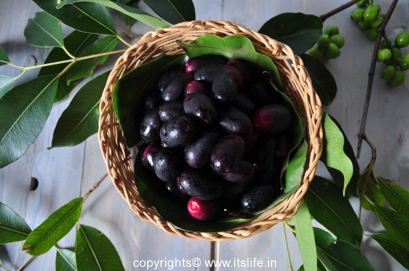 Jamun Syzygium cumini