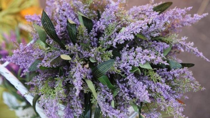 Buddleja davidii,Butterfly Bush - Kadiyam Nursery